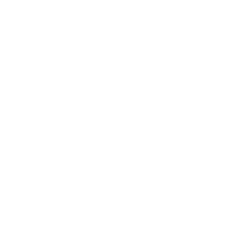 Next.js Development logo